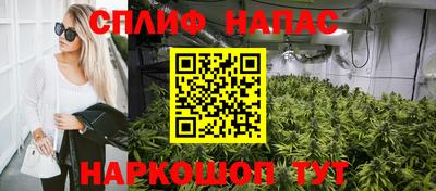 шишки Малгобек