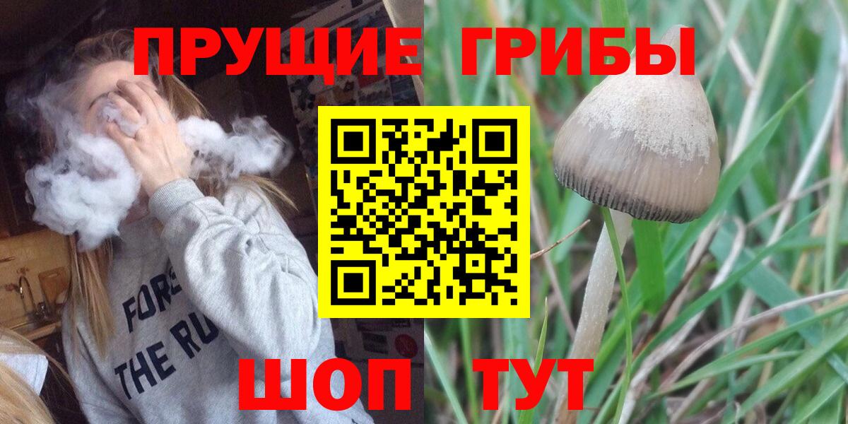 Псилоцибиновые грибы Cubensis Южно-Сахалинск